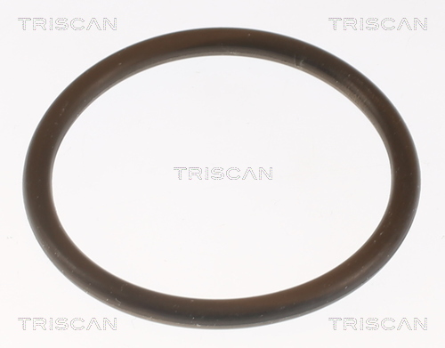 TRISCAN 8620 13188 Thermostat, Kühlmittel