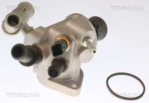TRISCAN 8620 20788 Thermostat, Kühlmittel