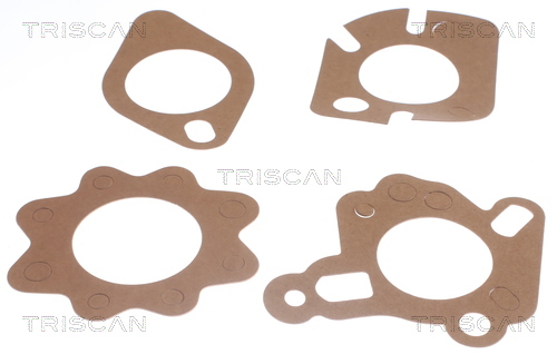 TRISCAN 8620 2188 Thermostat, Kühlmittel