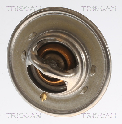 TRISCAN 8620 2191 Thermostat, Kühlmittel