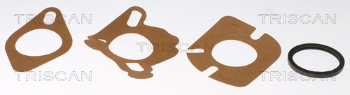 TRISCAN 8620 2191 Thermostat, Kühlmittel