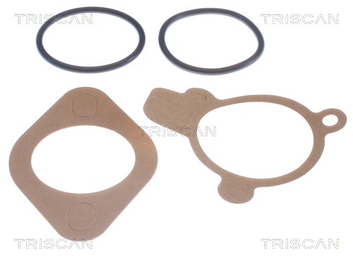 TRISCAN 8620 2387 Thermostat, Kühlmittel