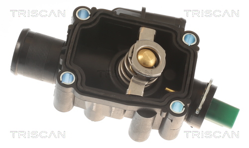 TRISCAN 8620 25291 Thermostat, Kühlmittel