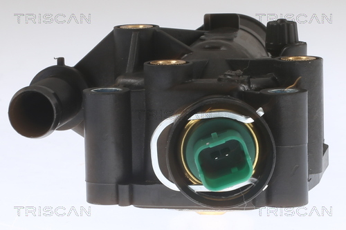 TRISCAN 8620 25291 Thermostat, Kühlmittel