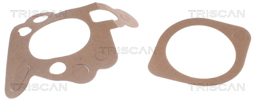 TRISCAN 8620 2782 Thermostat, Kühlmittel