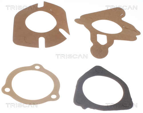 TRISCAN 8620 2982 Thermostat, Kühlmittel