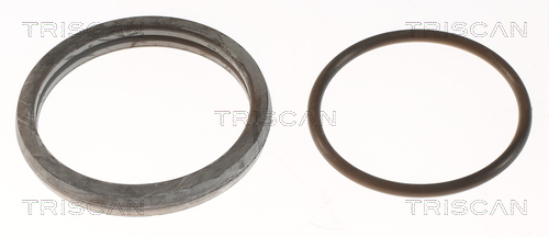 TRISCAN 8620 3188 Thermostat, Kühlmittel