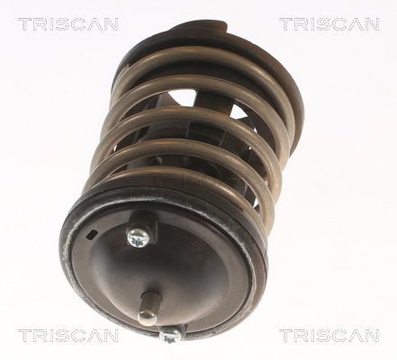 TRISCAN 8620 33380 Thermostat, Kühlmittel