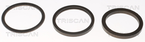 TRISCAN 8620 3982 Thermostat, Kühlmittel