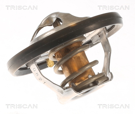 TRISCAN 8620 48281 Thermostat, Kühlmittel