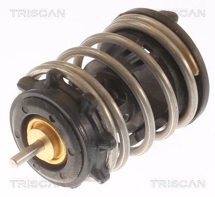 TRISCAN 8620 49892 Thermostat, Kühlmittel