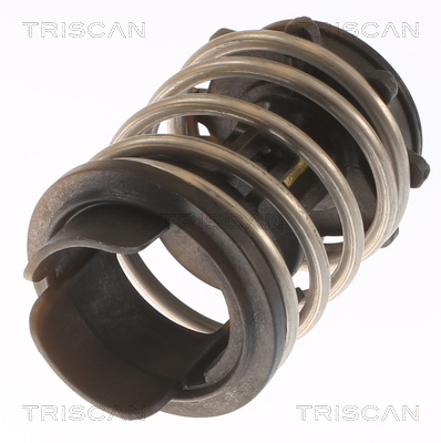 TRISCAN 8620 49892 Thermostat, Kühlmittel