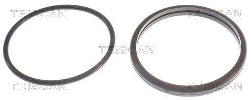 TRISCAN 8620 5380 Thermostat, Kühlmittel