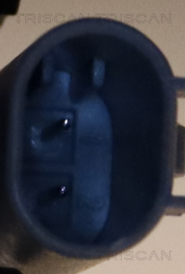 TRISCAN 8620 540100 Thermostat, Kühlmittel