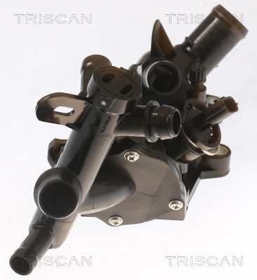 TRISCAN 8620 546 Thermostat, Kühlmittel
