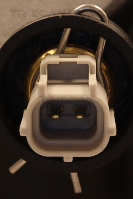 TRISCAN 8620 55582 Thermostat, Kühlmittel