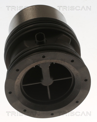 TRISCAN 8620 55692 Thermostat, Kühlmittel