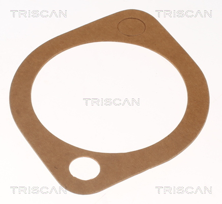 TRISCAN 8620 5791 Thermostat, Kühlmittel