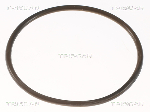 TRISCAN 8620 5892 Thermostat, Kühlmittel