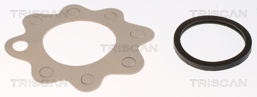 TRISCAN 8620 6182 Thermostat, Kühlmittel