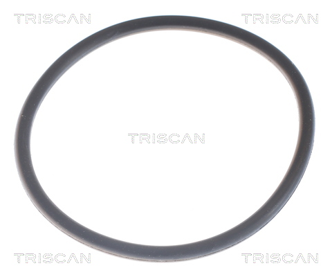 TRISCAN 8620 6382 Thermostat, Kühlmittel