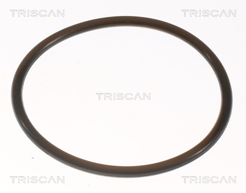 TRISCAN 8620 7082 Thermostat, Kühlmittel
