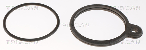 TRISCAN 8620 7482 Thermostat, Kühlmittel