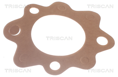 TRISCAN 8620 7882 Thermostat, Kühlmittel