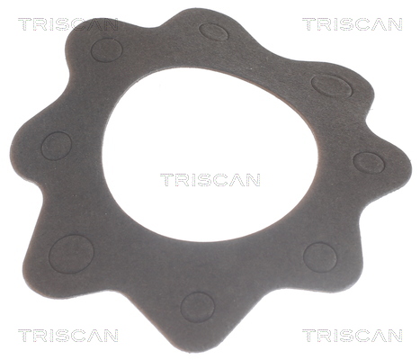 TRISCAN 8620 7888 Thermostat, Kühlmittel