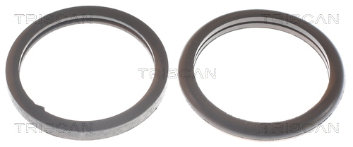 TRISCAN 8620 7977 Thermostat, Kühlmittel