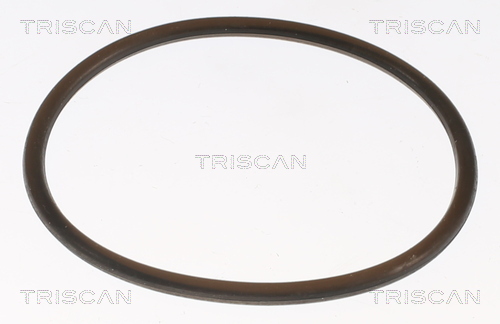 TRISCAN 8620 8888 Thermostat, Kühlmittel