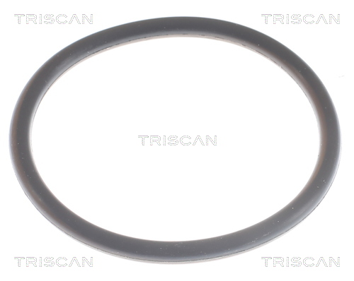 TRISCAN 8620 9491 Thermostat, Kühlmittel