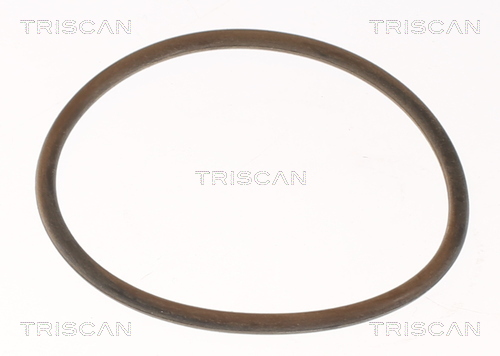 TRISCAN 8620 9691 Thermostat, Kühlmittel