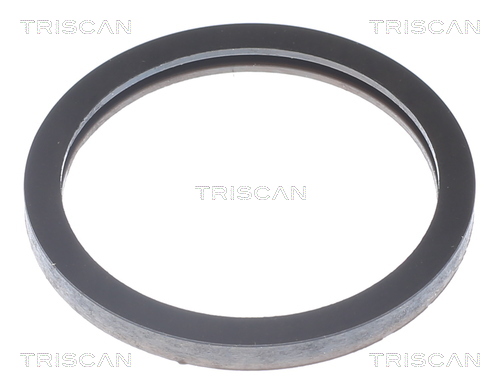 TRISCAN 8620 9982 Thermostat, Kühlmittel