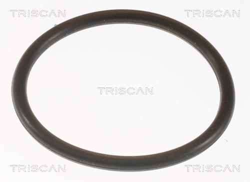 TRISCAN 8620 9991 Thermostat, Kühlmittel