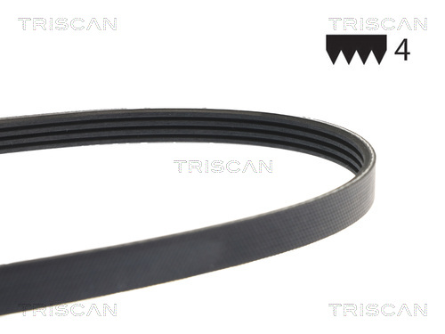 TRISCAN 8640 401013E Keilriemen