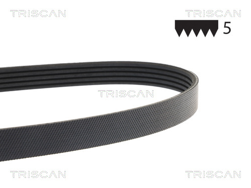 TRISCAN 8640 501810E Keilriemen