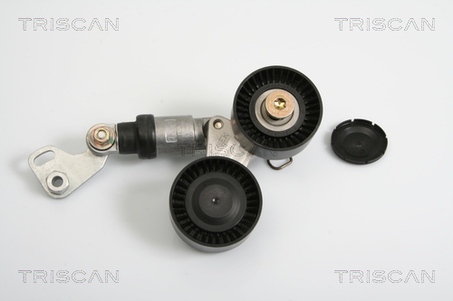 TRISCAN 8641 113020 Riemenspanner, Keilrippenriemen