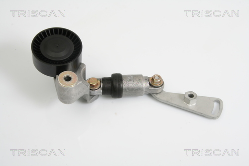 TRISCAN 8641 113024 Riemenspanner, Keilrippenriemen