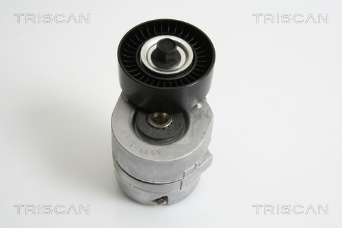 TRISCAN 8641 163015 Riemenspanner, Keilrippenriemen