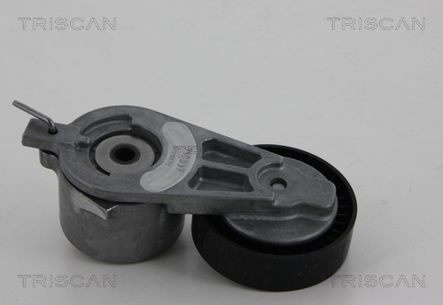 TRISCAN 8641 163019 Riemenspanner, Keilrippenriemen
