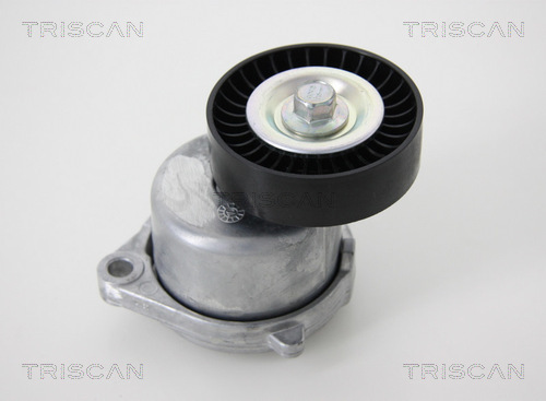 TRISCAN 8641 183002 Riemenspanner, Keilrippenriemen