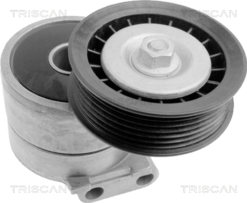 TRISCAN 8641 243006 Riemenspanner, Keilrippenriemen