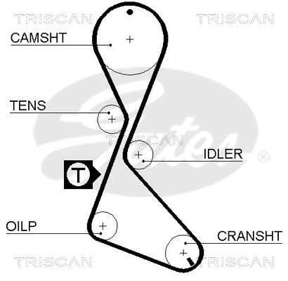 TRISCAN 8647 10012 Tand/styrremssats