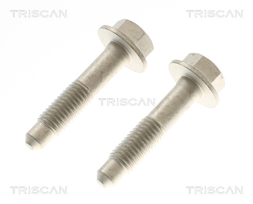 TRISCAN 8705 81201 Stoßdämpfer