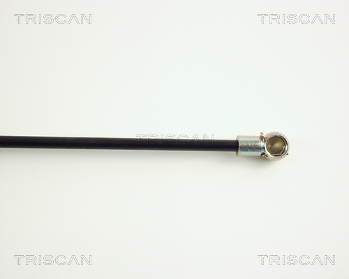 TRISCAN 8710 1002 Gasfjäder, bagageutrymme