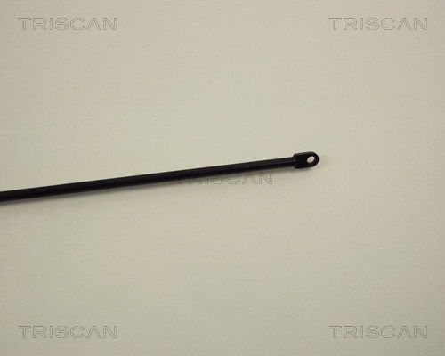 TRISCAN 8710 1004 Gasfeder, Motorhaube
