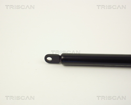 TRISCAN 8710 1006 Gasfeder, Motorhaube