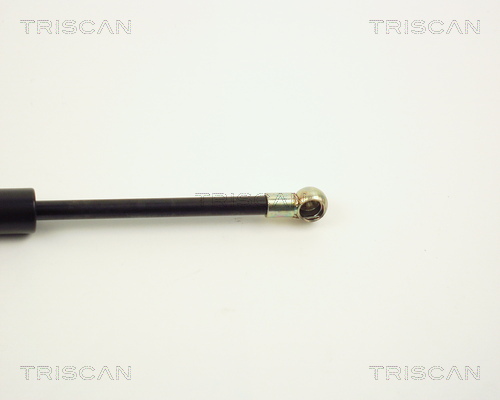 TRISCAN 8710 1009 Gasfjäder, bagageutrymme