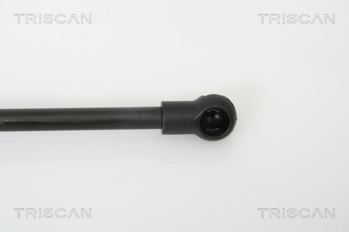 TRISCAN 8710 10100 Gasfeder, Motorhaube